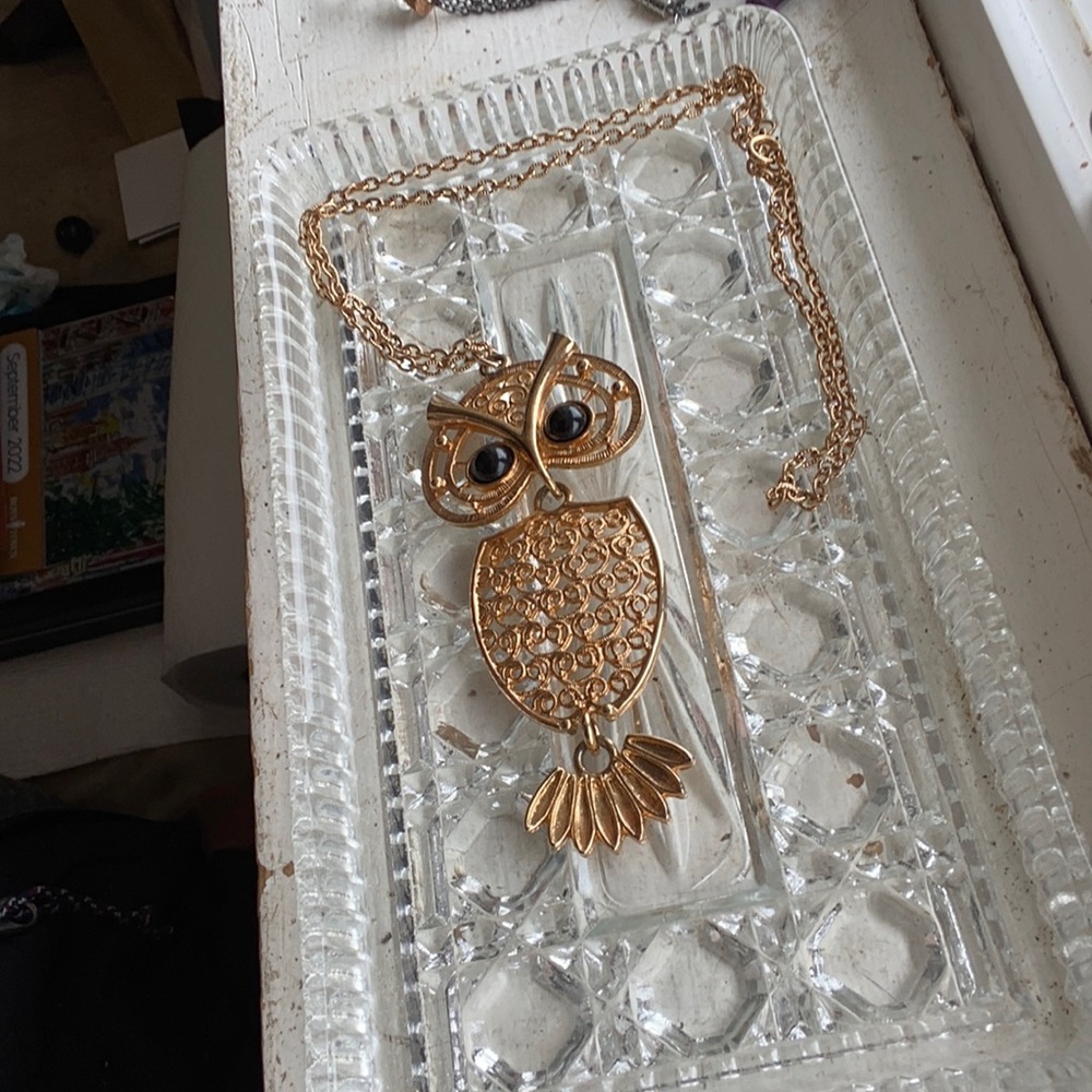Sarah Coventry golden owl long chain necklace